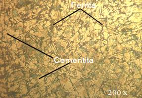 Microestructura del acero 70XL (AISI 8660)
sin tratamiento térmico.