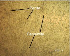 Microestructura del acero 70XL con tratamiento
térmico.