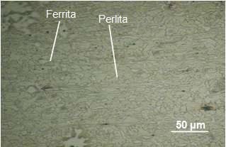 Microestructura del AISI 1025.