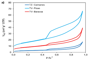 Isotermas de adsorci�n-desorci�n de N2 a 77 K para las muestras objeto de estudio.