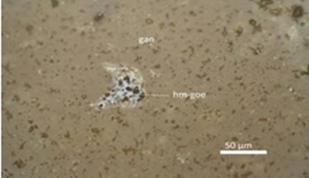 Entrecrecimiento anhedral de hematita-goethita (hm-goe) diseminado en la ganga (gan). Muestra R-1.