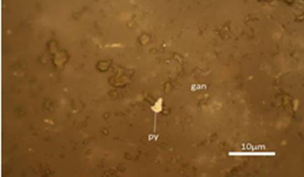 Cristal euhedral de pirita (py) diseminado en la ganga. Muestra R-1.