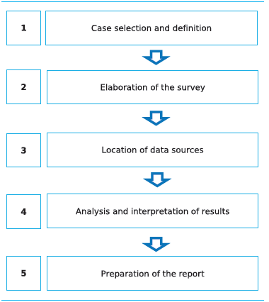 Steps for the development of the case study