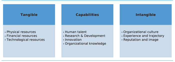 Organizational capacities and factors of companies