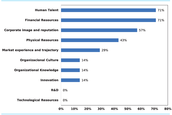 Companies&rsquo; most important strategic resources