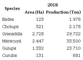 Passifloraceae Production, 2018, Department of Huila