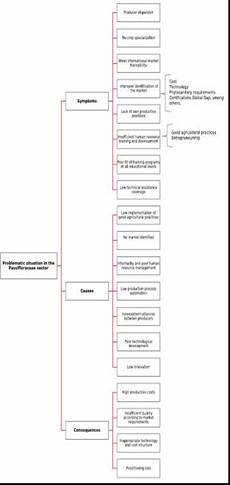 Problematic situation structure in the Passifloraceae sector. Source: Gil T, (2016)