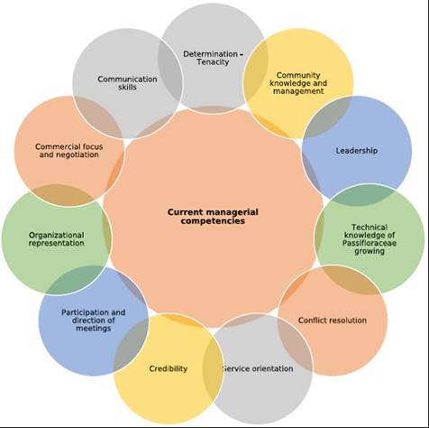 Current complementary competences: leaders of production organizations in the sector. Source: Authors&rsquo;own elaboration. 