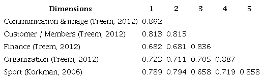 Discriminant validity of reflective constructs