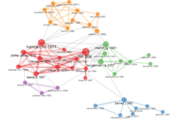 Network of document citations -WOS