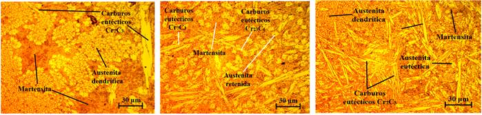 Microestructuras de las muestras en bruto de colada.