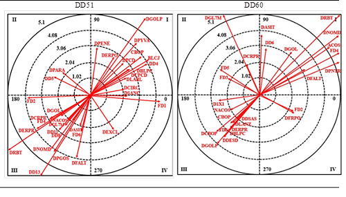 Representaci&oacute;n del plano vectorial de las defensas 5:1 y 6:0
