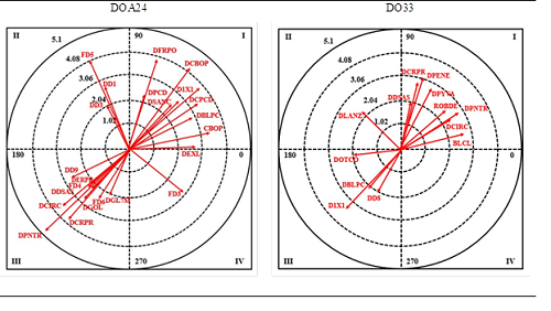 Representaci&oacute;n del plano vectorial de los sistemas de ataque en desdoblamiento a 2:4 y 3:3