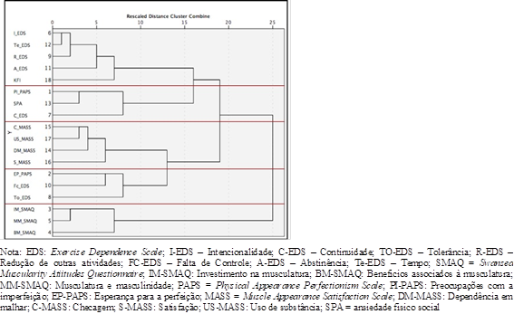Cluster das variáveis analisadas no estudo