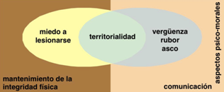 Dimensiones del objeto de estudio