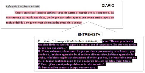 Ejemplo de segmentación de texto y relación entre entrevista y diario.
