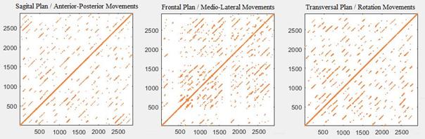 Recurrence plot for each movement plan in a ASD participant.