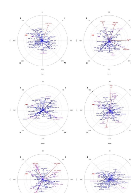 Mapas dos vetores para conduta focal zona de finalização na fase de grupos
