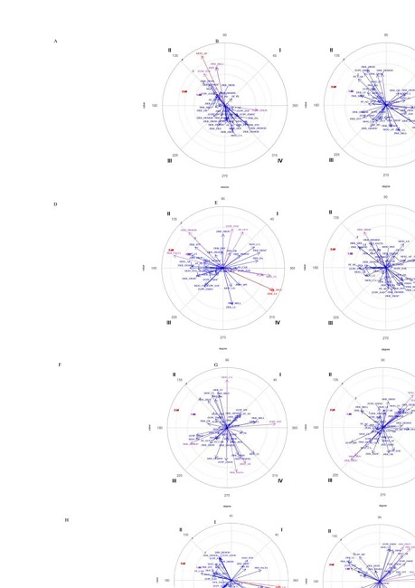 Mapas dos vetores para conduta focal zona de finalização na fase a eliminar