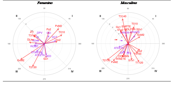 Representación gráfica del análisis de coordenadas polares en ambas categorías para la categoría criterio SIMPL