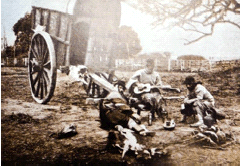  Fotograf&iacute;a Francisco Ayerza (fundador de la Sociedad Fotogr&aacute;fica Argentina de
Aficionados)