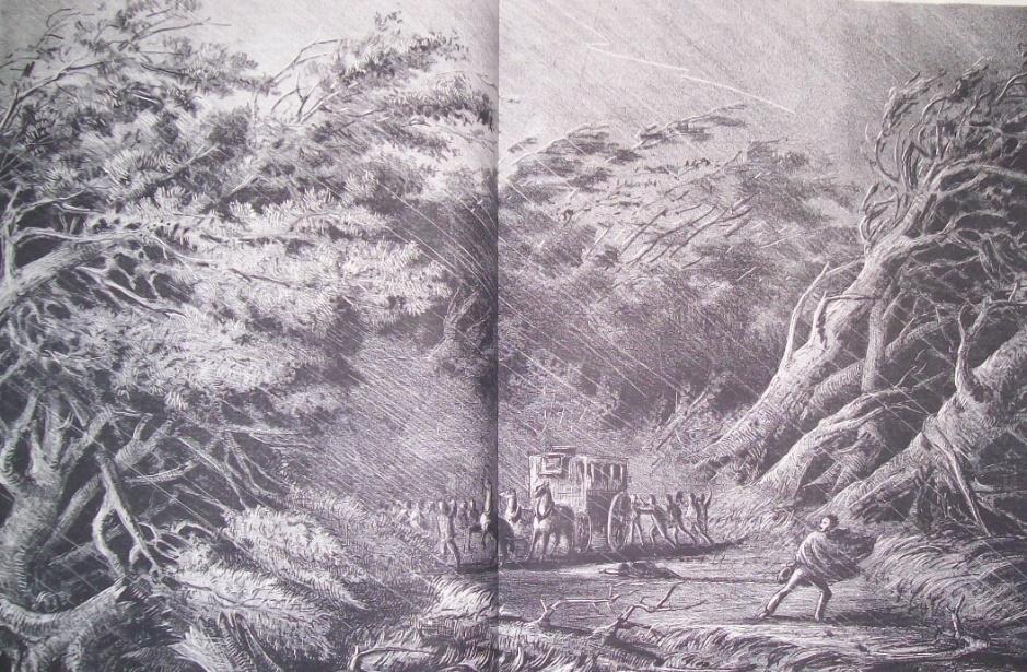 Vista de una parte del Bosque de Palermo al disiparse la oscuridad de la tarde del 19 de marzo de 1866