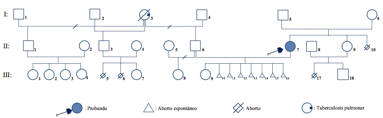 Genogram
with the proband who has the traslocation