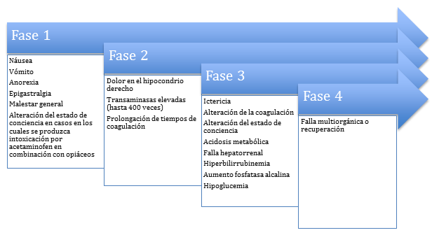 Fases cl&iacute;nicas de la IA