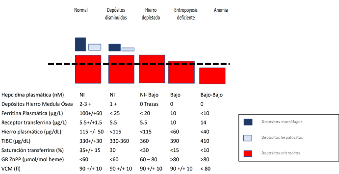 Hallazgos paracl&iacute;nicos directos e indirectos