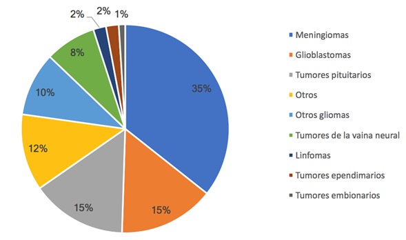 Distribución de tumores del sistema nervioso central en adultos, clasificados
según histología