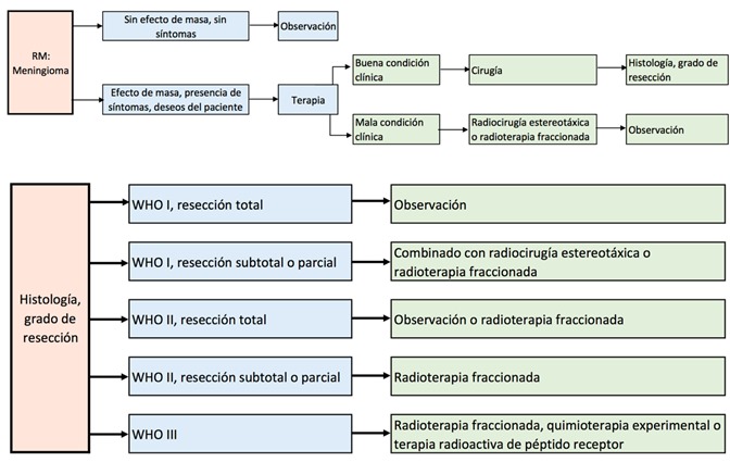 Recomendación para el manejo terapéutico de los meningiomas
WHO I-III