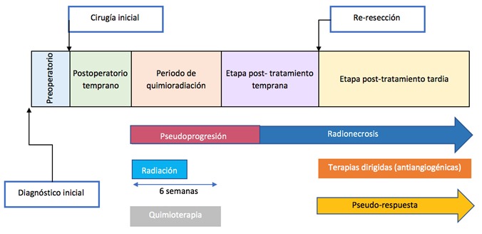 Progresión y manejo
de gliomas
