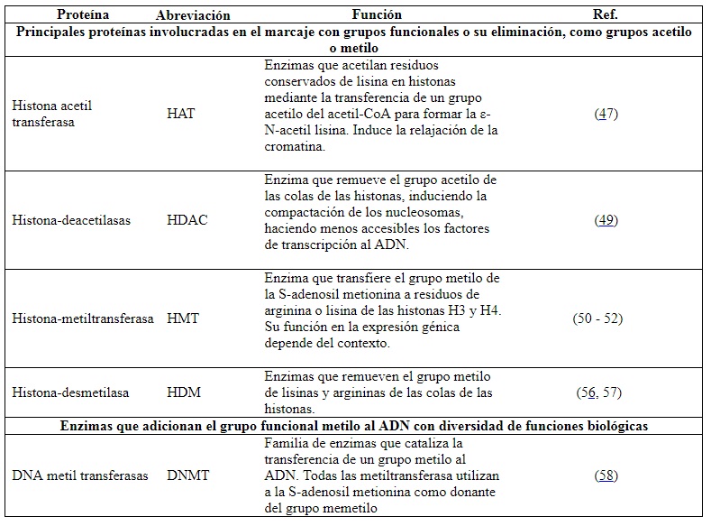Enzimas modificadoras de la cromatina: que compactan
o relajan los nucleosomas