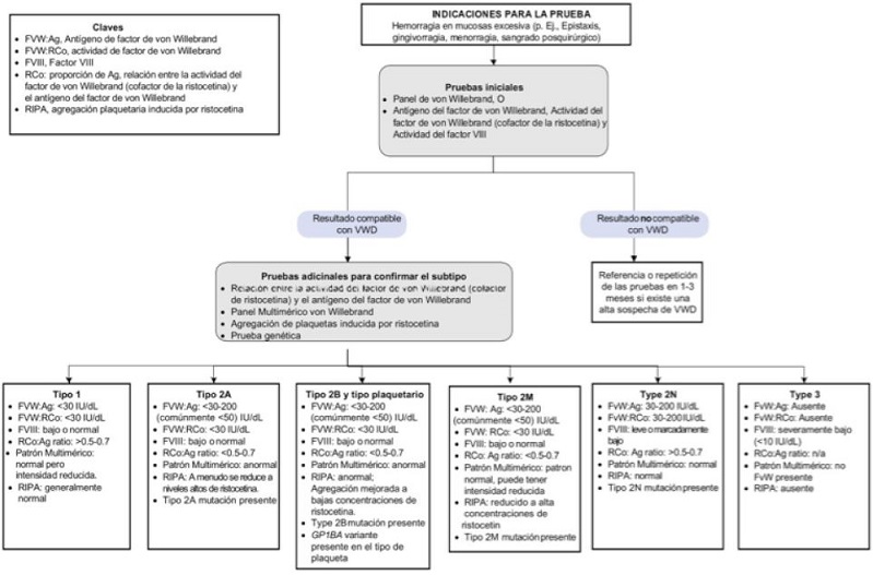 Algoritmo diagn&oacute;stico para la enfermedad de Von Willebrand y sus subtipos