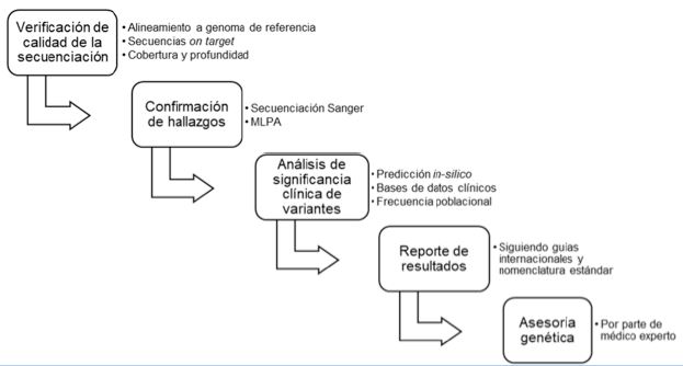 Pasos para el correcto análisis, interpretación y entrega de resultados de NGS