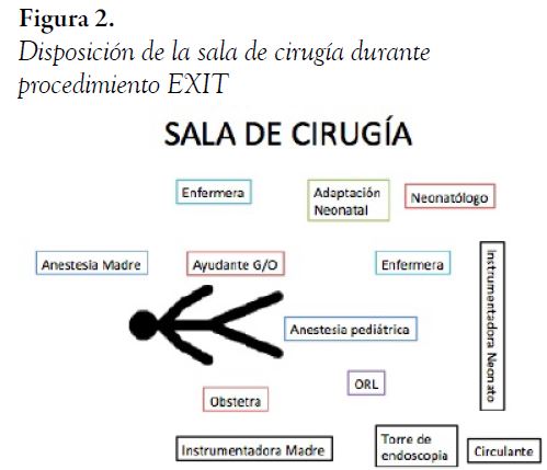 Disposici&oacute;n de la sala de cirug&iacute;a durante procedimiento EXIT
