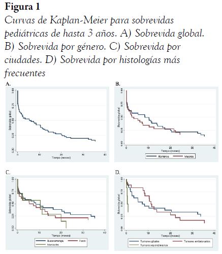 Curvas de Kaplan-Meier para sobrevidas pedi&aacute;tricas de hasta 3 a&ntilde;os. A) Sobrevida global. B) Sobrevida por g&eacute;nero. C) Sobrevida por ciudades. D) Sobrevida por histolog&iacute;as m&aacute;s frecuentes