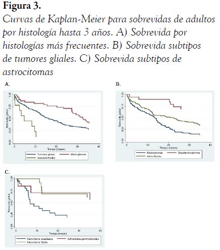 Curvas de Kaplan-Meier para sobrevidas de adultos por histolog&iacute;a hasta 3 a&ntilde;os. A) Sobrevida por histolog&iacute;as m&aacute;s frecuentes. B) Sobrevida subtipos de tumores gliales. C) Sobrevida subtipos de astrocitomas