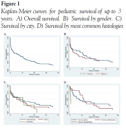 Kaplan-Meier curves for pediatric survival of up to 3 years. A) Overall survival. B) Survival by gender. C) Survival by city. D) Survival by most common histologies