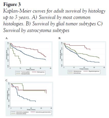 Kaplan-Meier curves for adult survival by histology up to 3 years. A) Survival by most common histologies. B) Survival by glial tumor subtypes C) Survival by astrocytoma subtypes