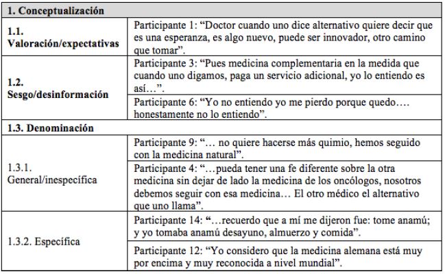 Ejemplos que sustentan las categor&iacute;as emergentes seg&uacute;n la descripci&oacute;n del grupo de pacientes/cuidadores