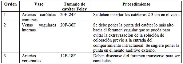 Orden de canulaci&oacute;n de los grandes vasos