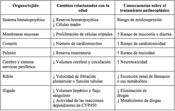 &Oacute;rganos y tejidos afectados por el envejecimiento y sus consecuencias en la tolerancia a la quimioterapia