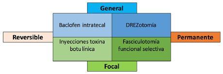  Intervenciones neuroquir&uacute;rgicas para el manejo de la espasticidad