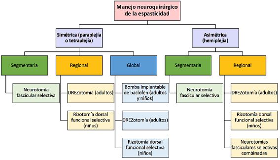 Algoritmo terap&eacute;utico para el manejo de la espasticidad en adultos