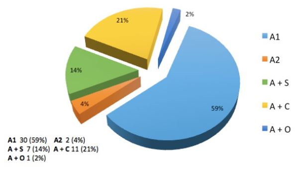Representación gráfica de la clasificación ASCOD (etiología de accidente cerebrovascular)