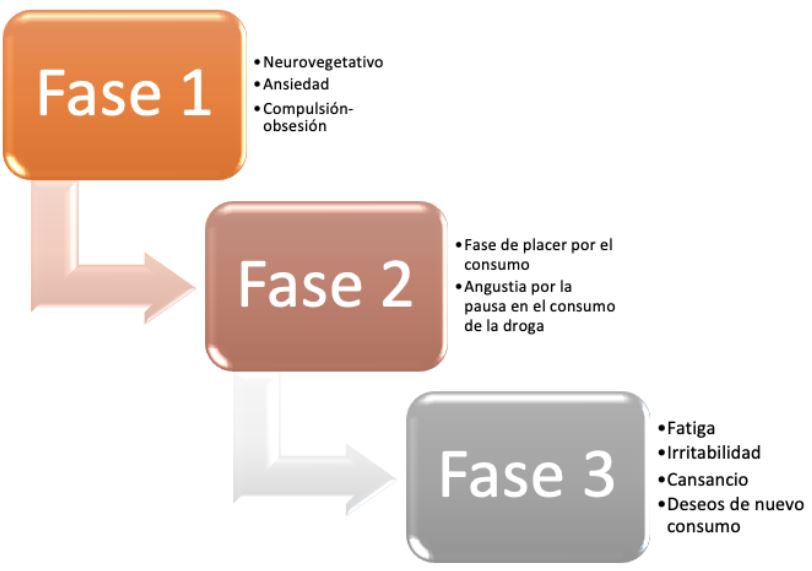 Fases de la intoxicación aguda