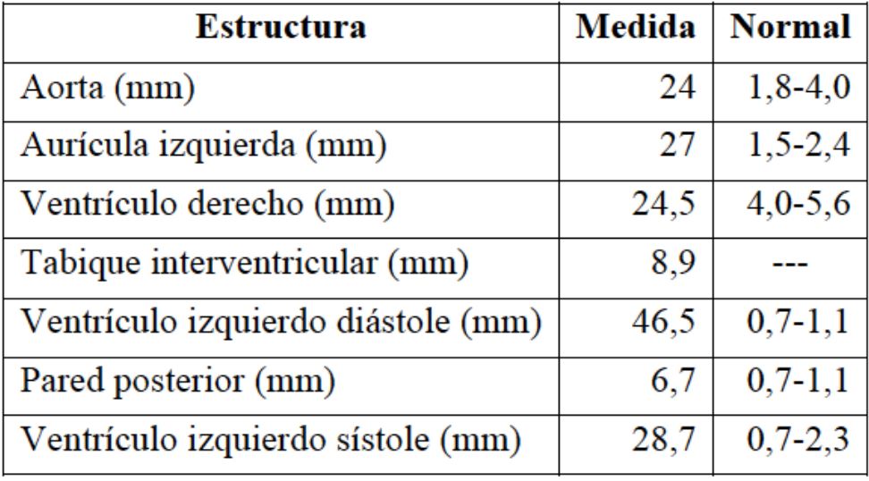 Medidas ecocardiogr&aacute;ficas trasntor&aacute;cicas de control