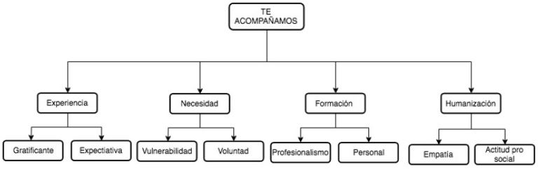 Categorizaci&oacute;n de las respuestas