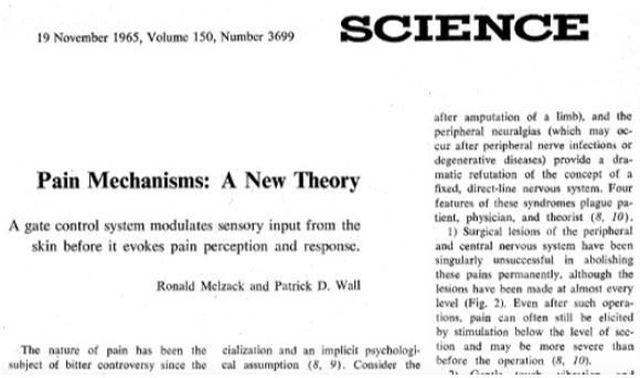 De la misma forma que la figura anterior, esta imagen se incluye en este trabajo como documento histórico del importante desarrollo del conocimiento hecho por Melzack y Wall. No pretendo en ningún momento utilizarla como respaldo de un principio fisiopatológico, sino solo resaltar un documento histórico-neuropático.